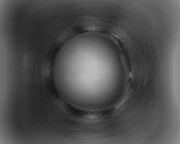 X0000088620175200705251249