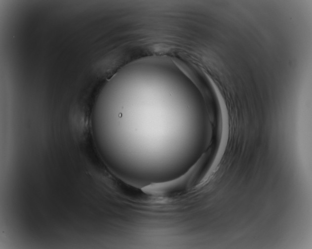 X0000088620176200705251249
