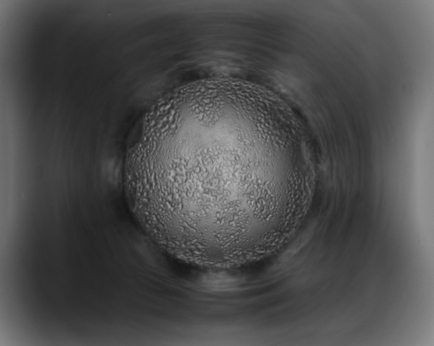 X0000088620177200705251249