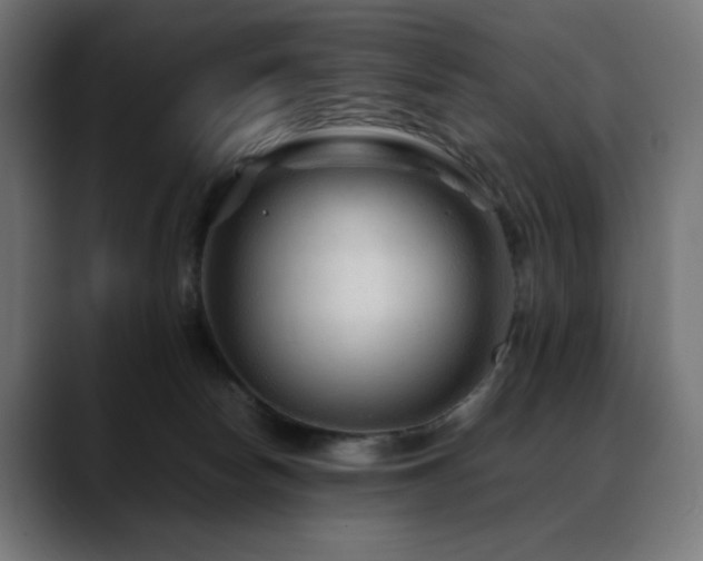 X0000088620178200705251249