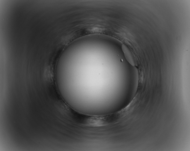 X0000088620179200705251249