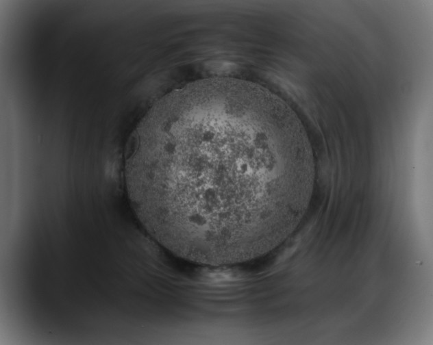 X0000088620181200705251249
