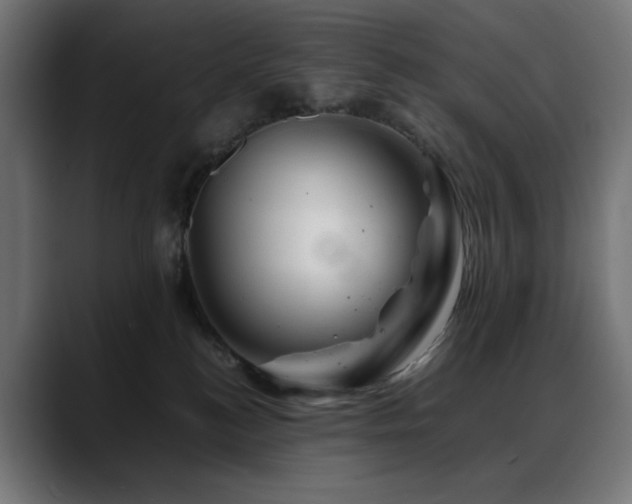 X0000088620184200705251249