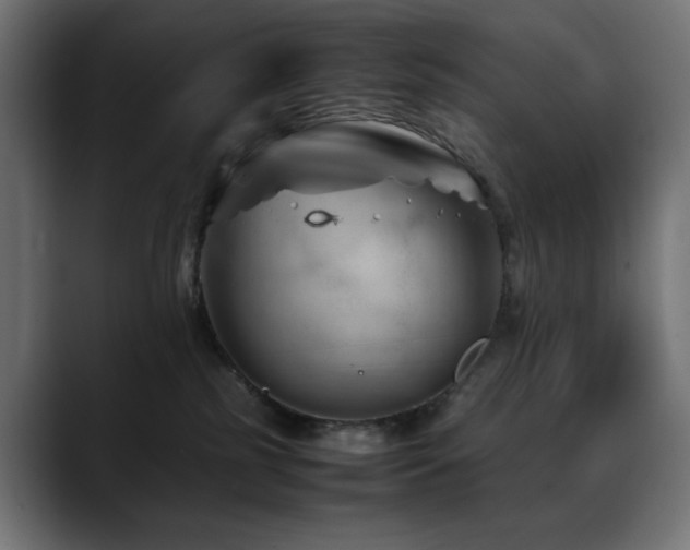 X0000088620185200705251249