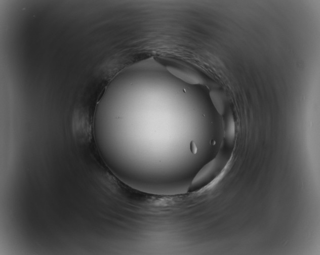 X0000088620186200705251249