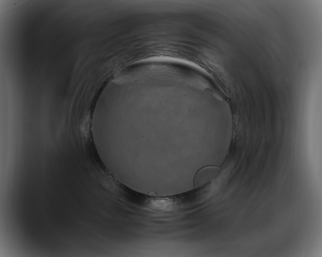 X0000088620189200705251249