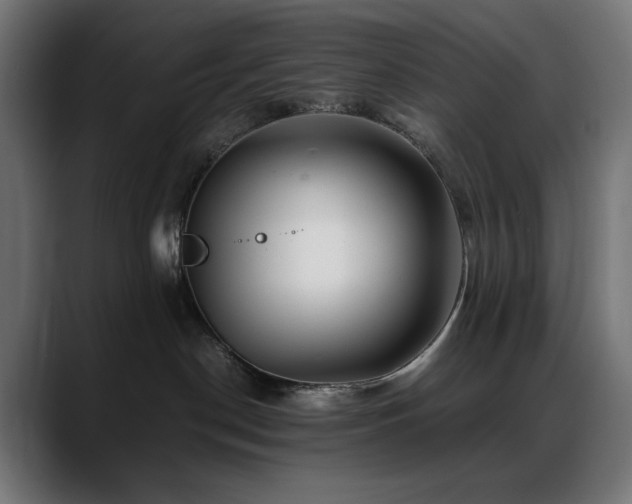 X0000088620190200705251249