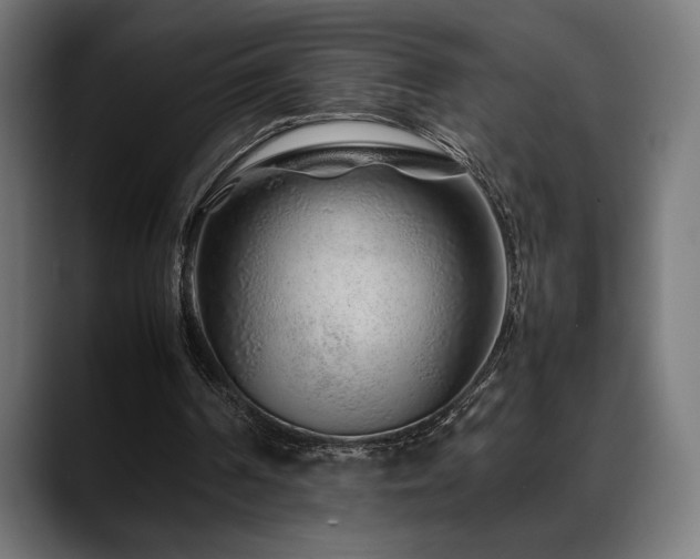 X0000088620194200705251248