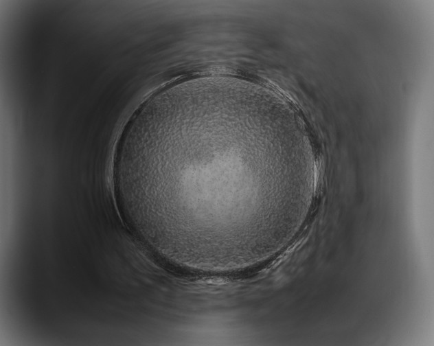 X0000088620195200705251248