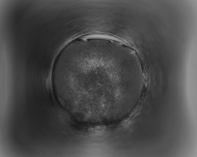 X0000088620196200705251248