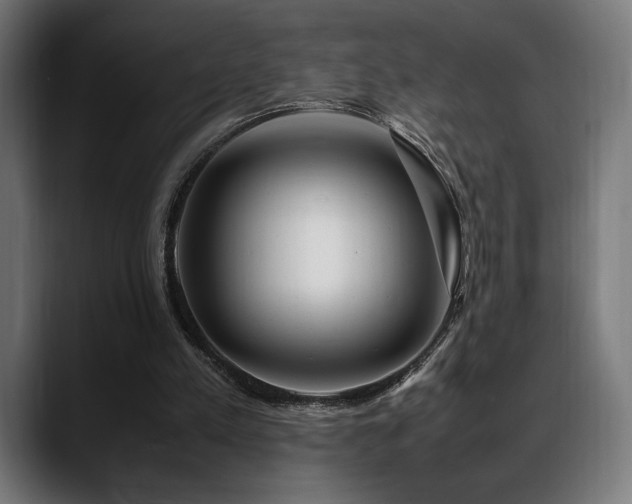 X0000088620197200705251248