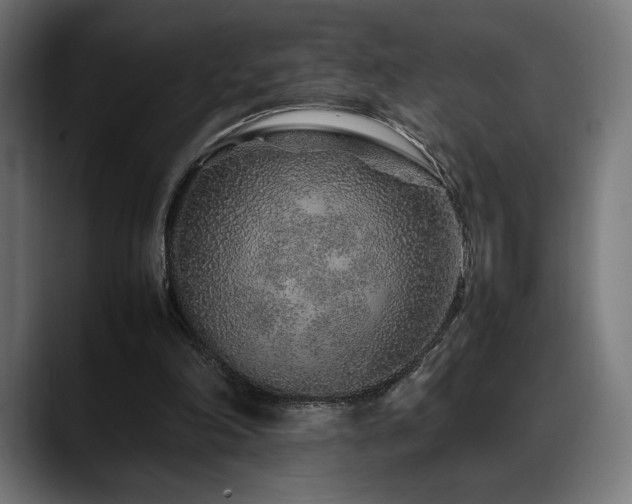 X0000088620198200705251248