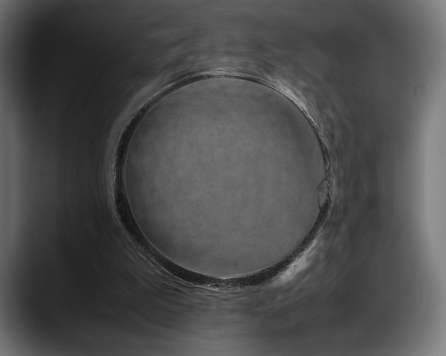 X0000088620199200705251248