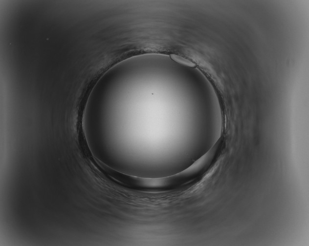 X0000088620201200705251248