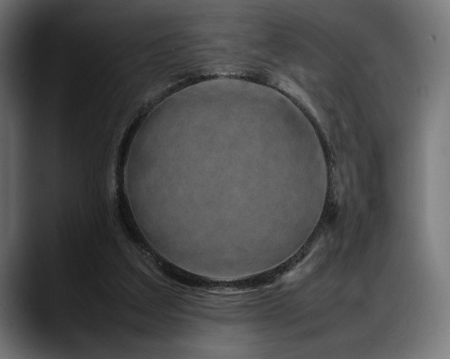 X0000088620203200705251248