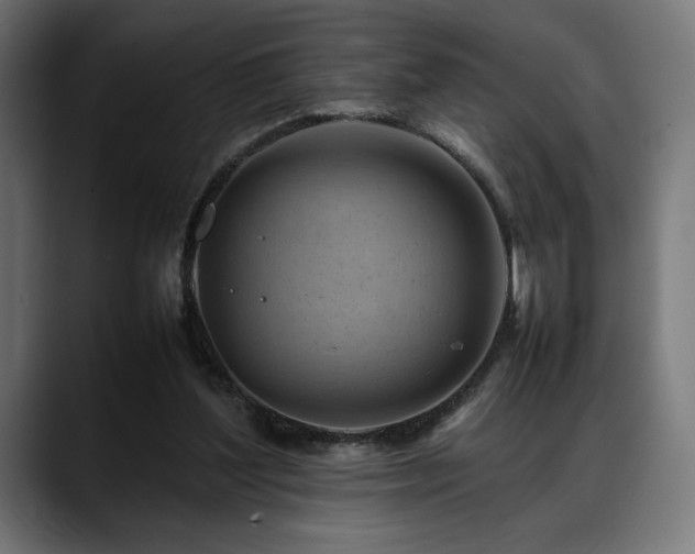 X0000088620204200705251248
