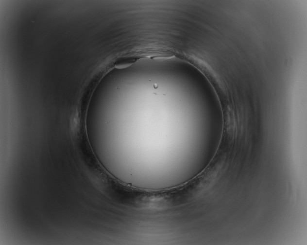 X0000088620208200705251248