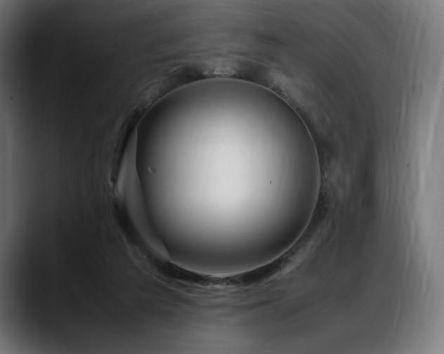 X0000088620209200705251248