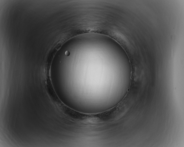 X0000088620210200705251248