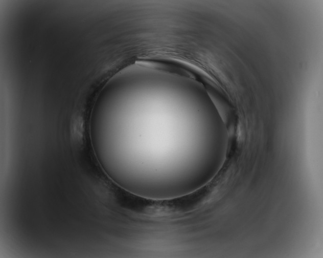 X0000088620211200705251248