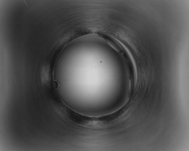X0000088620212200705251248