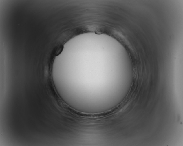 X0000088620213200705251248
