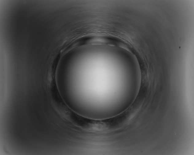 X0000088620215200705251248