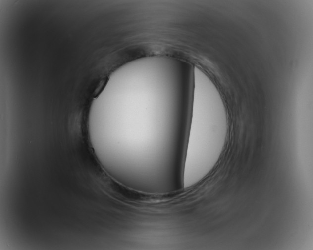 X0000088620217200705251248
