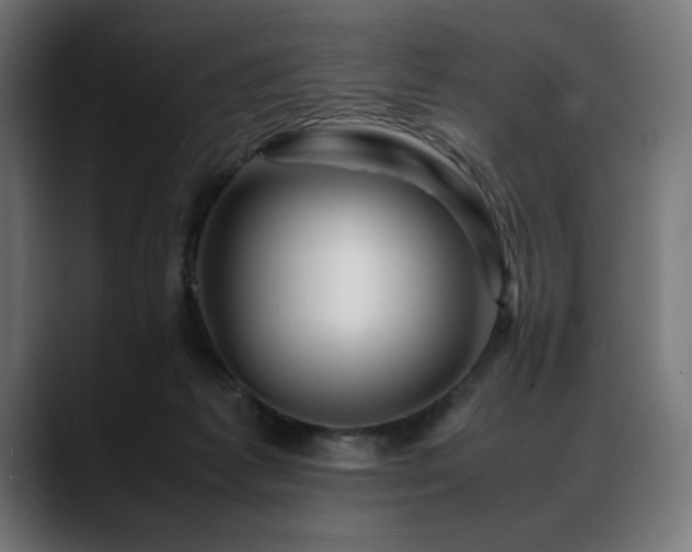 X0000088620221200705251248