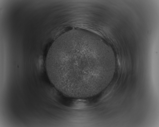 X0000088620222200705251248