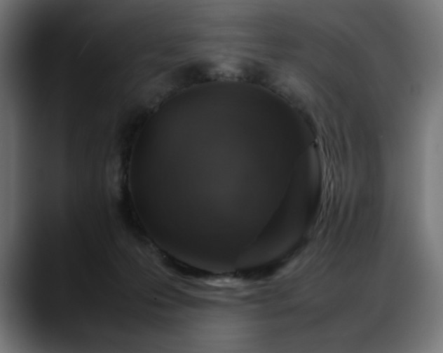 X0000088620223200705251248