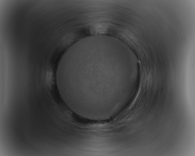X0000088620224200705251248