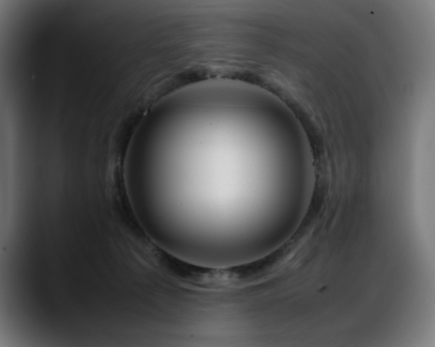 X0000088620225200705251248