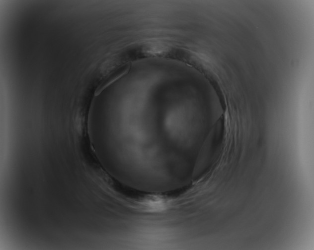 X0000088620227200705251248