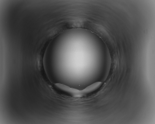 X0000088620228200705251248