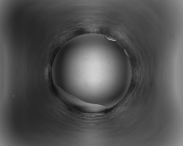 X0000088620229200705251248