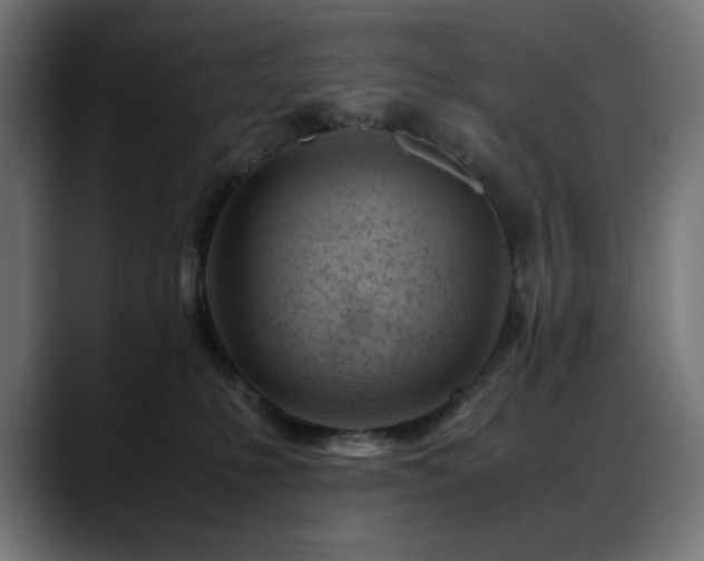 X0000088620231200705251248