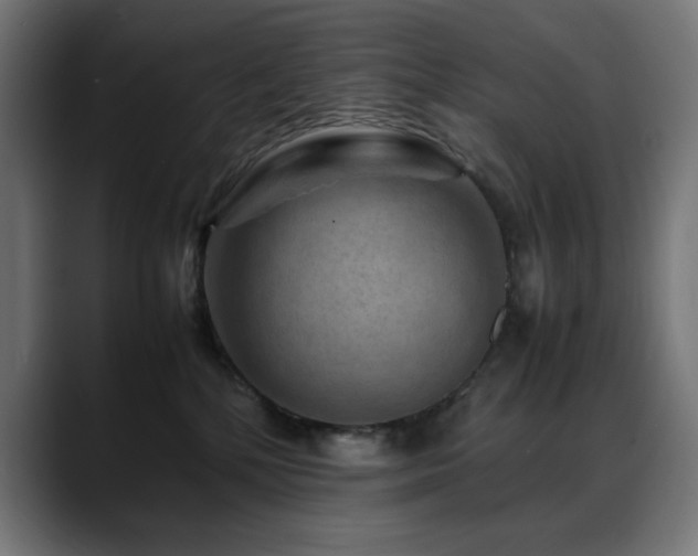 X0000088620232200705251248
