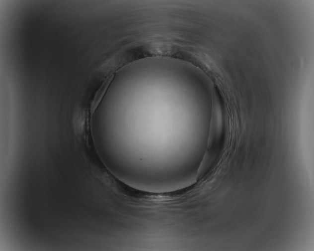 X0000088620233200705251248