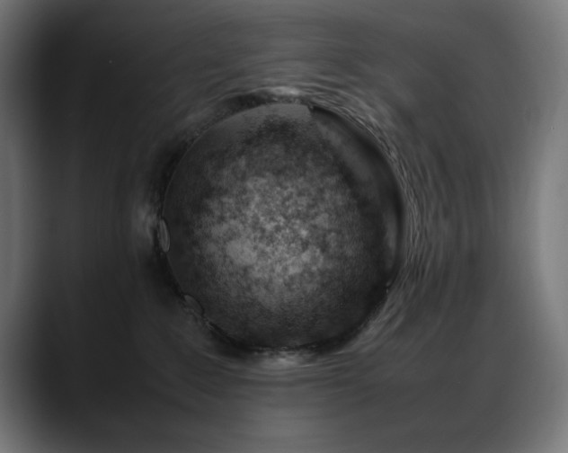 X0000088620235200705251248