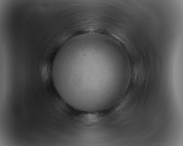 X0000088620236200705251248
