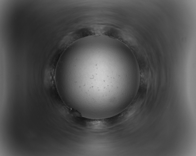 X0000088620237200705251248