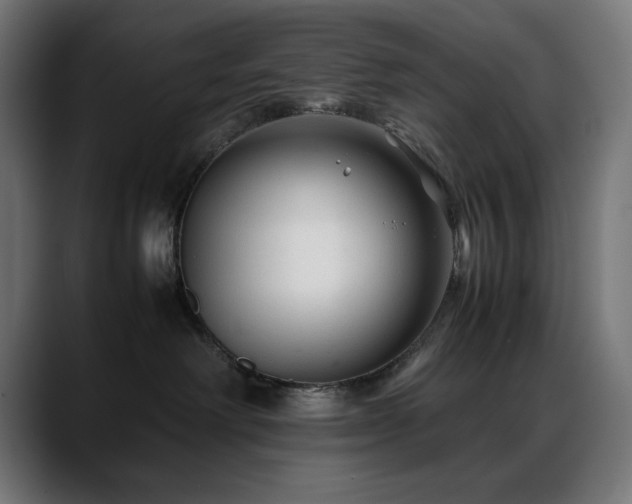 X0000088620238200705251248