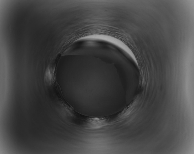 X0000088620239200705251248