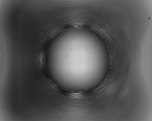 X0000088620240200705251248