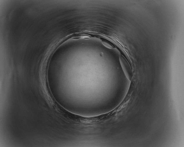 X0000088620241200705251247