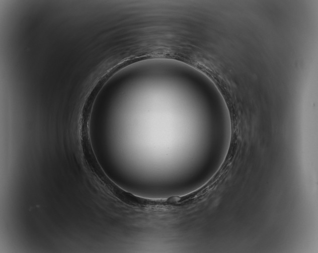 X0000088620242200705251247