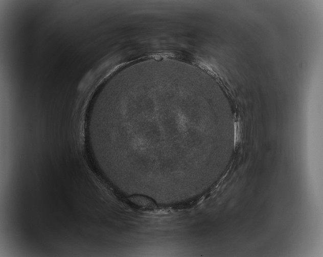 X0000088620243200705251247