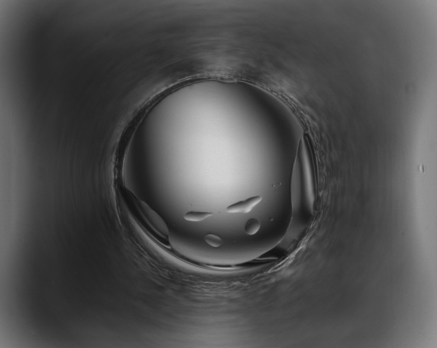 X0000088620244200705251247