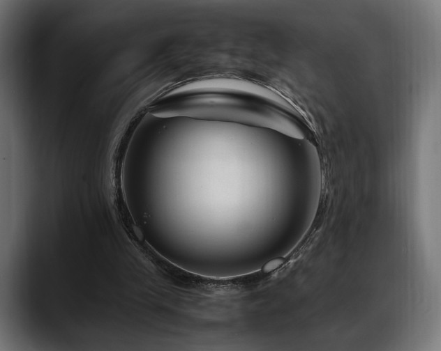 X0000088620245200705251247